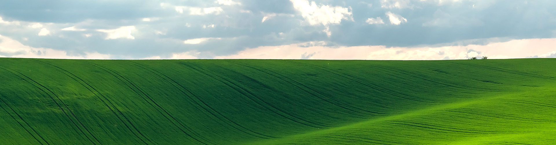 Slide background
